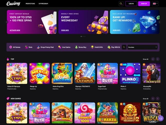 Experience the Thrills of Gaming at Casiny VIp